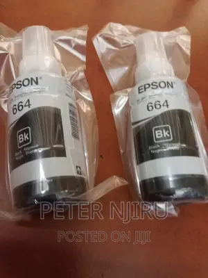 Epson T6641 Black Ink Bottle
