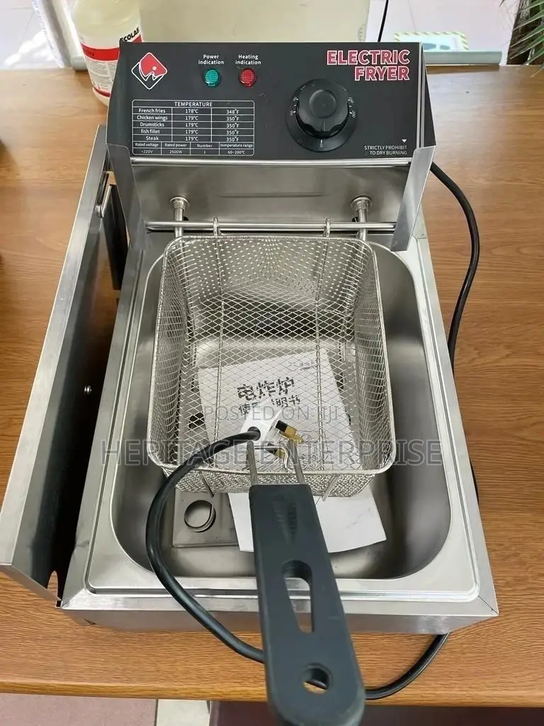 Deep Fryer Single Electronic Deep Fryer Silver