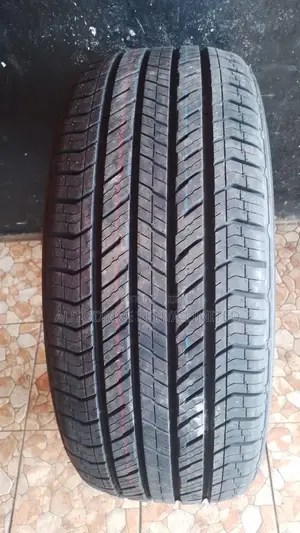 265/45r21 Bearway Tyre