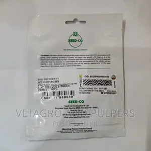 Hybrid Broccoli F1 Asia Seeds