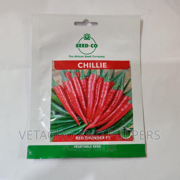 Red Thunder F1 Chillie Seeds