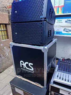 10 Inch Passive Line Array With Flight Case