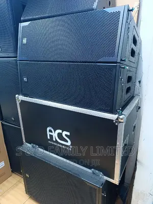 Double 10 Inch Passive Line Array With Flight Case