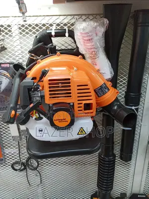 Leafs Blower