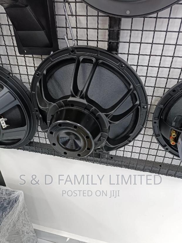 Derwel Neodymium 12 Inch Speaker