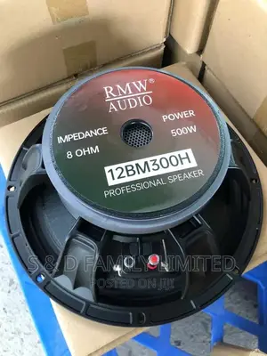RMW Audio 12BM300H Speaker 12 Inch