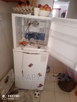 Fridge Not Defrosting