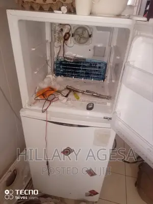 Fridge Not Defrosting