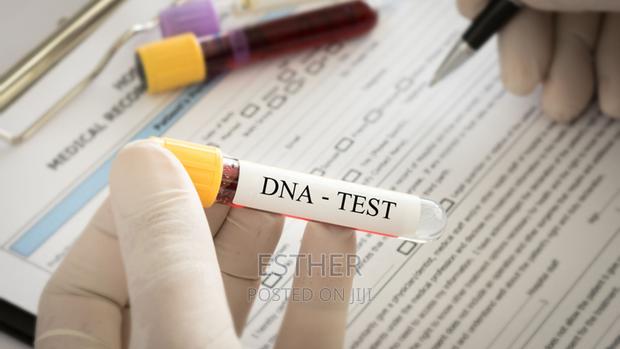 Paternity Dna Test