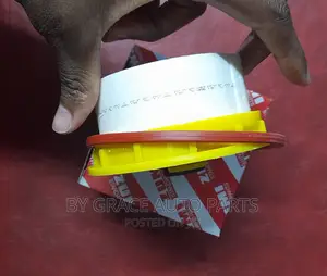 Paper Fuel Filter Landcruiser.