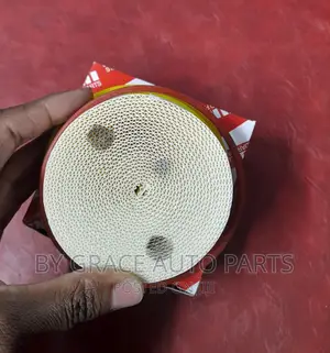 Paper Fuel Filter Landcruiser.