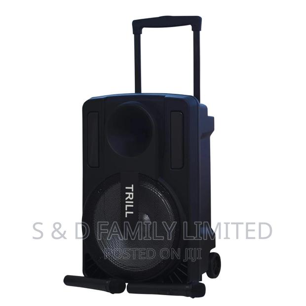 Trill C200 12 Inch Powered Speaker - main view