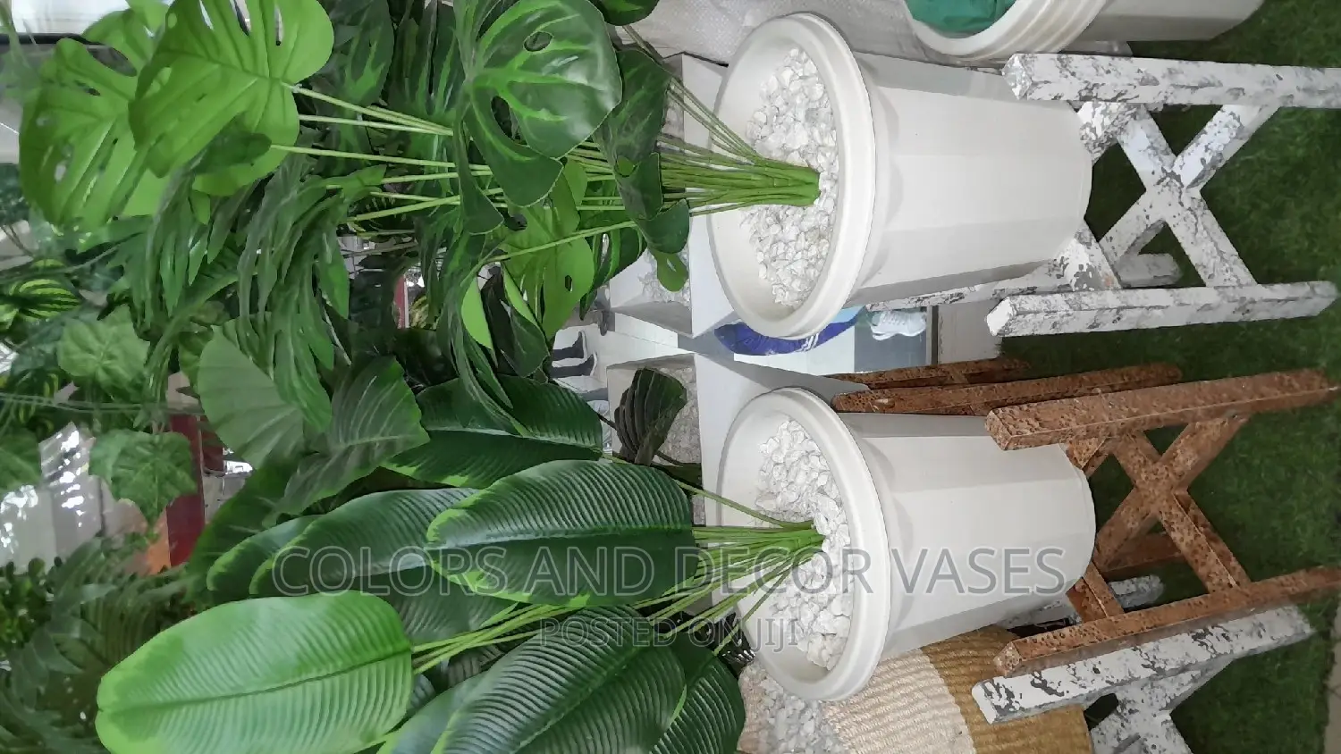 Plant, Vase Plastic and Stand Wooden