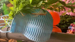 Decorative Hanging Flower Basket