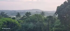 Mtwapa, 7-Acre Land With a Creek Beach View on Sale