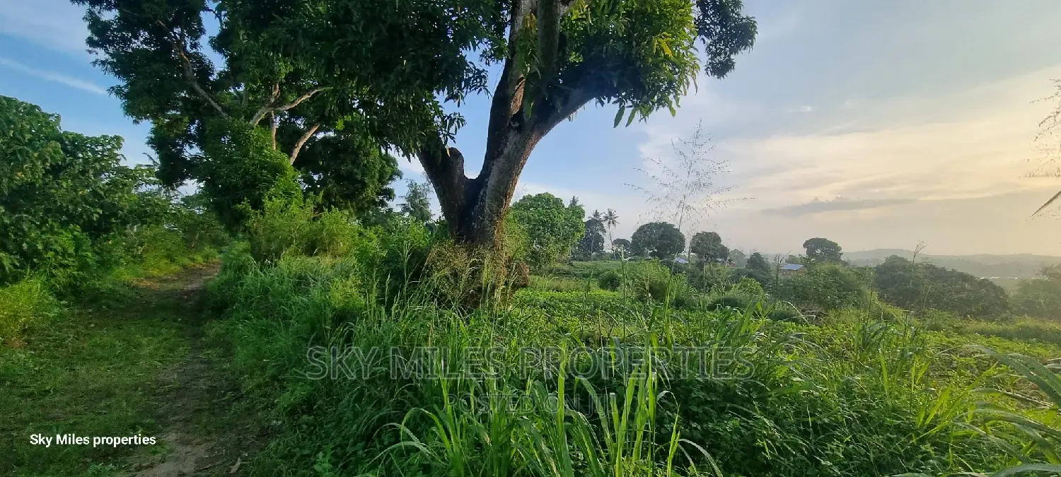 Mtwapa, 7-Acre Land With a Creek Beach View on Sale