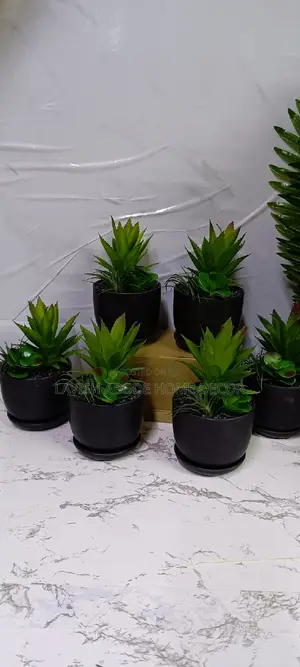 Black Sucuclent Artificial Plant