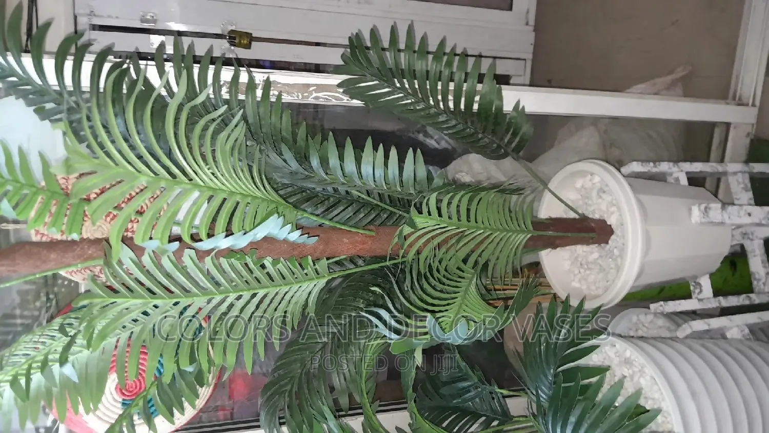 Palm Tree 1.6m With Vase Offer Price