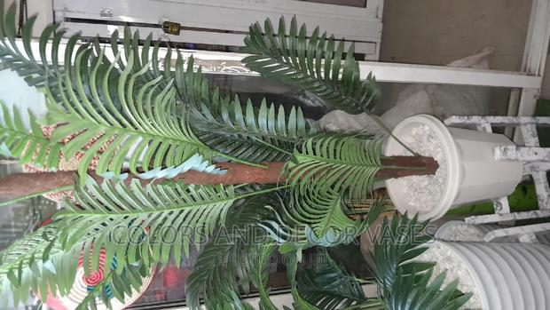 Palm Tree 1.6m With Vase Offer Price