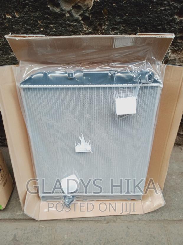 Dyna Radiator on Sale