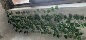 Decorative Hanging Flower Basket
