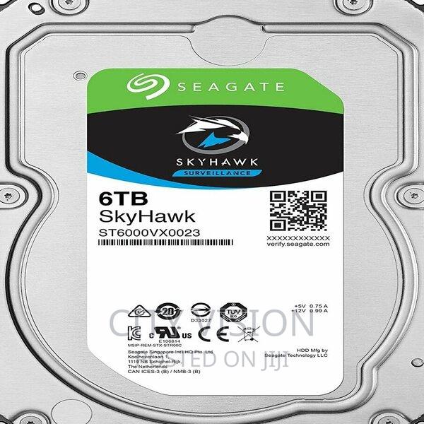Seagate Surveillance Skyhawk 6TB HHD 6TB!  - main view