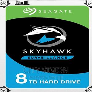 Skyhawk Seagate Surveillance 8TB HHD - thumbnail 2
