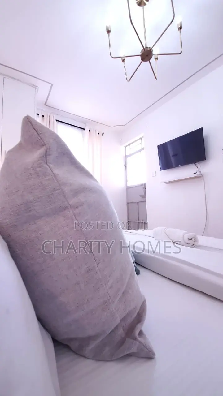 Studio Available in South B Furnished