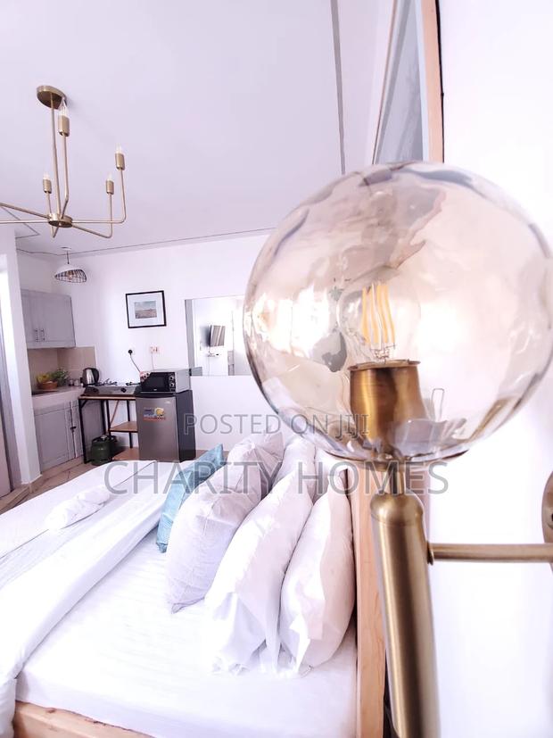 Studio Available in South B Furnished - thumbnail 6