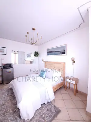 Studio Available in South B Furnished