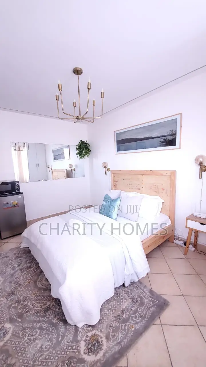 Studio Available in South B Furnished
