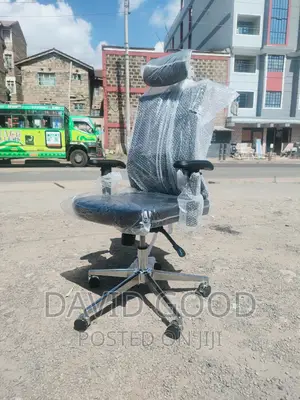 Othropedic Office Chair Othropedic Chair