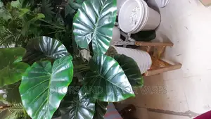 Plastic Vase, Plant and Stand KSH 3000