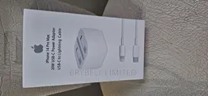25 Watts Original Apple Charger