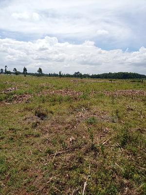 1/8 Plots Outspan Kiambaa - main view