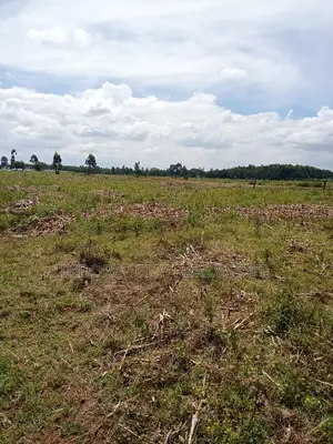 1/8 Plots Outspan Kiambaa