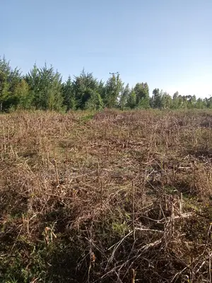 10 Acres of Land Outspan With Title.