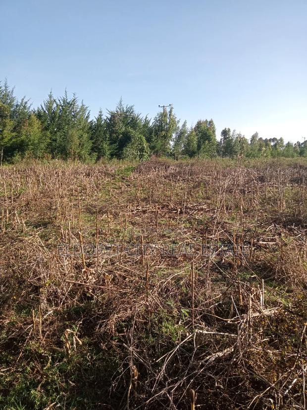 10 Acres of Land Outspan With Title.