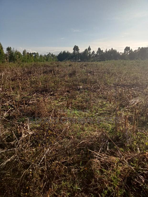 10 Acres of Land Outspan With Title. - thumbnail 2