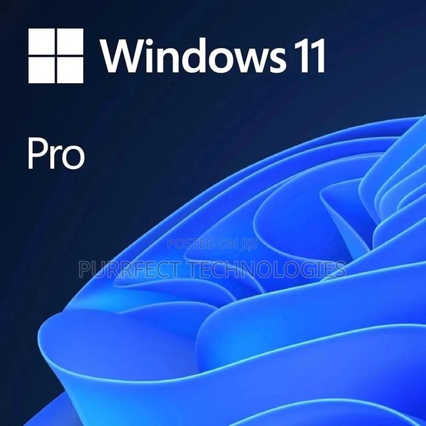 Windows 11 Professional - thumbnail 3