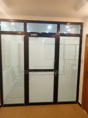 Coated Black Aluminum Swing Door