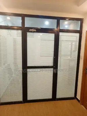 Coated Black Aluminum Swing Door
