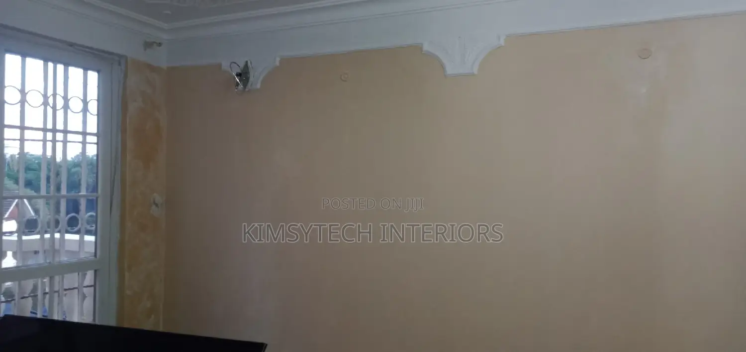 Gypsum Celling Designs,Wall Skimming and Painting