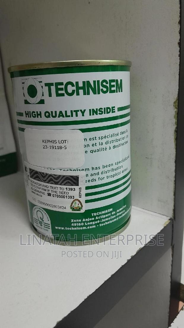 Lettuce Technism 100gms - thumbnail 3