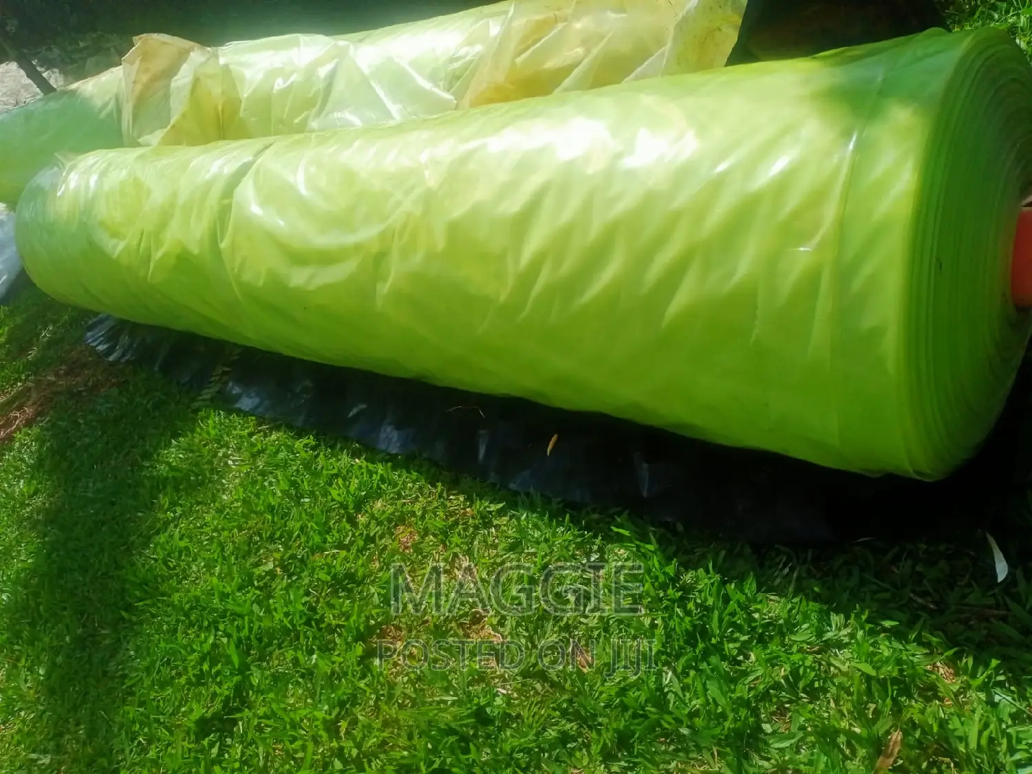 New Greenhouse Cover