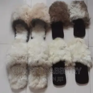M-West Rabbitry