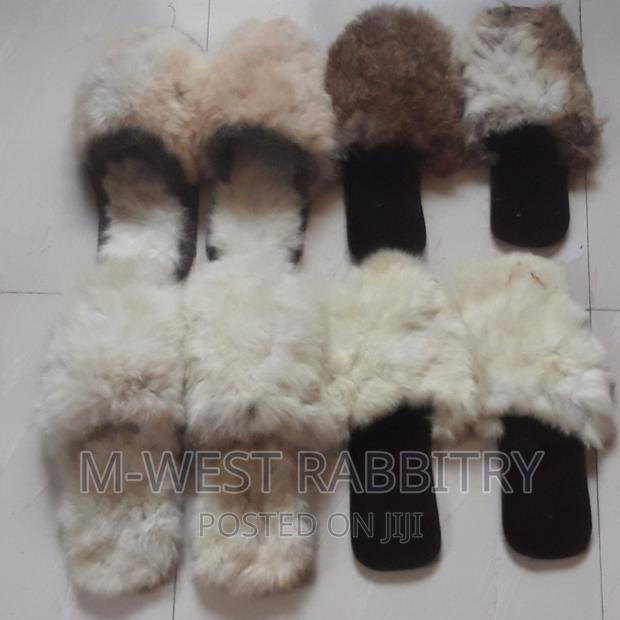 M-West Rabbitry - thumbnail 3