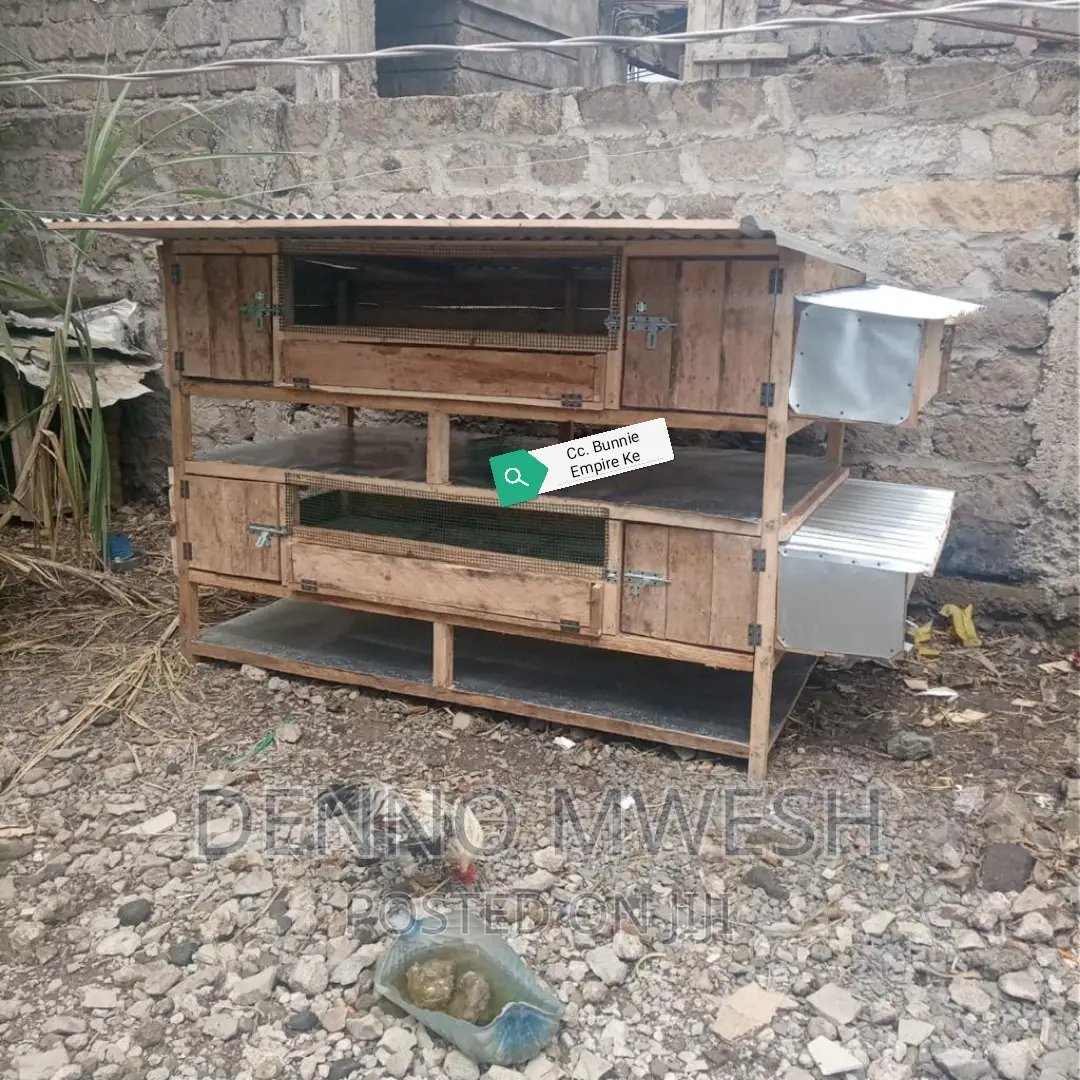 Chicken House / Poultry House