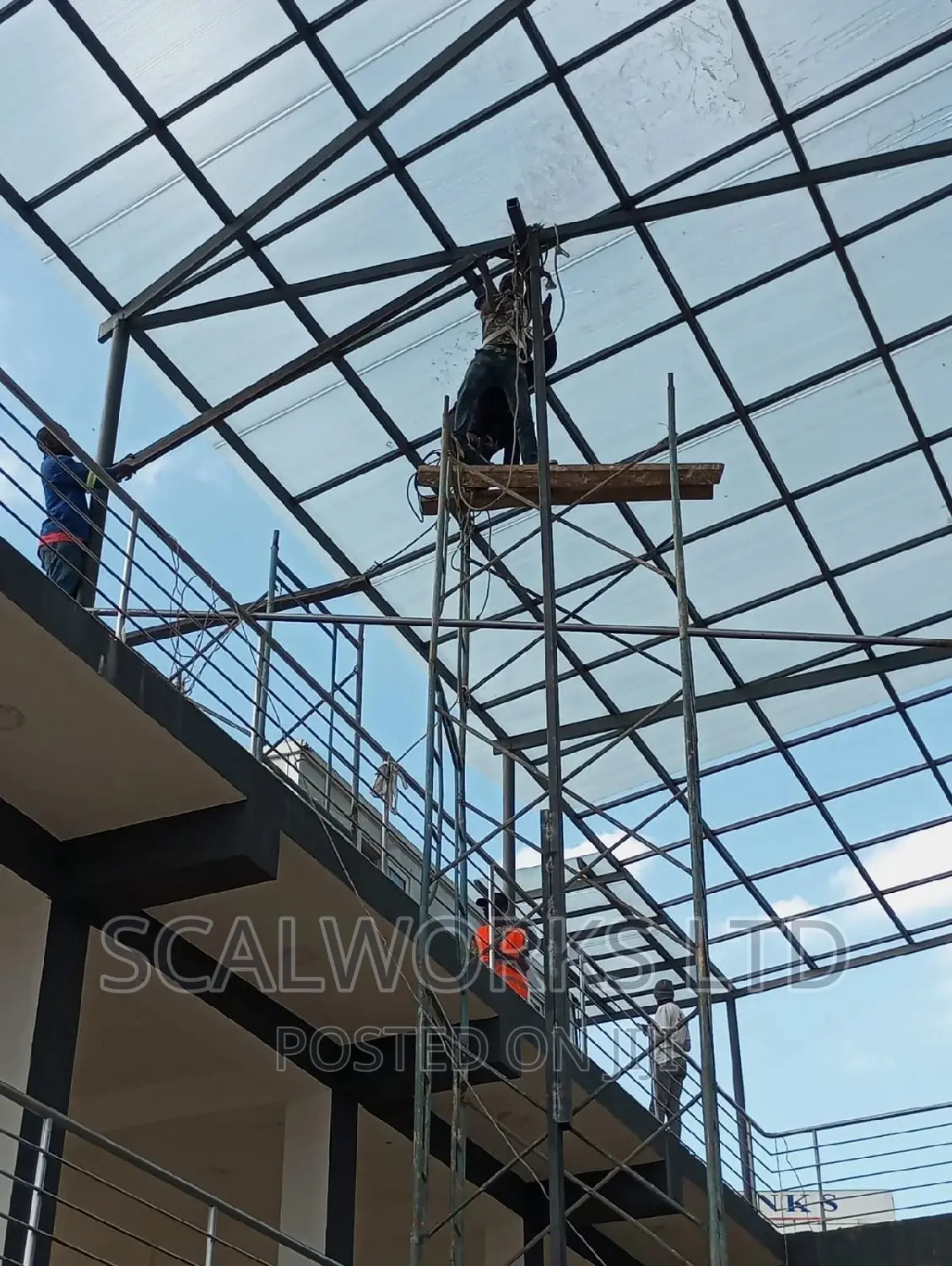 Scaffolds for Rental