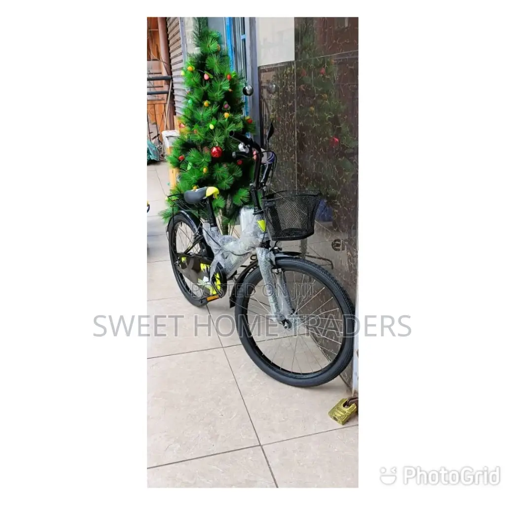 Lion Kings Kids Bike 12inches